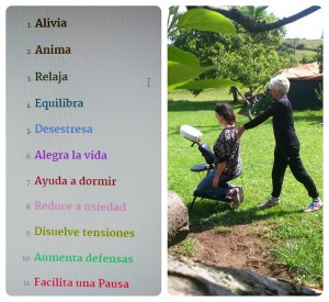 Razones Para Darte Un Masaje Sentado