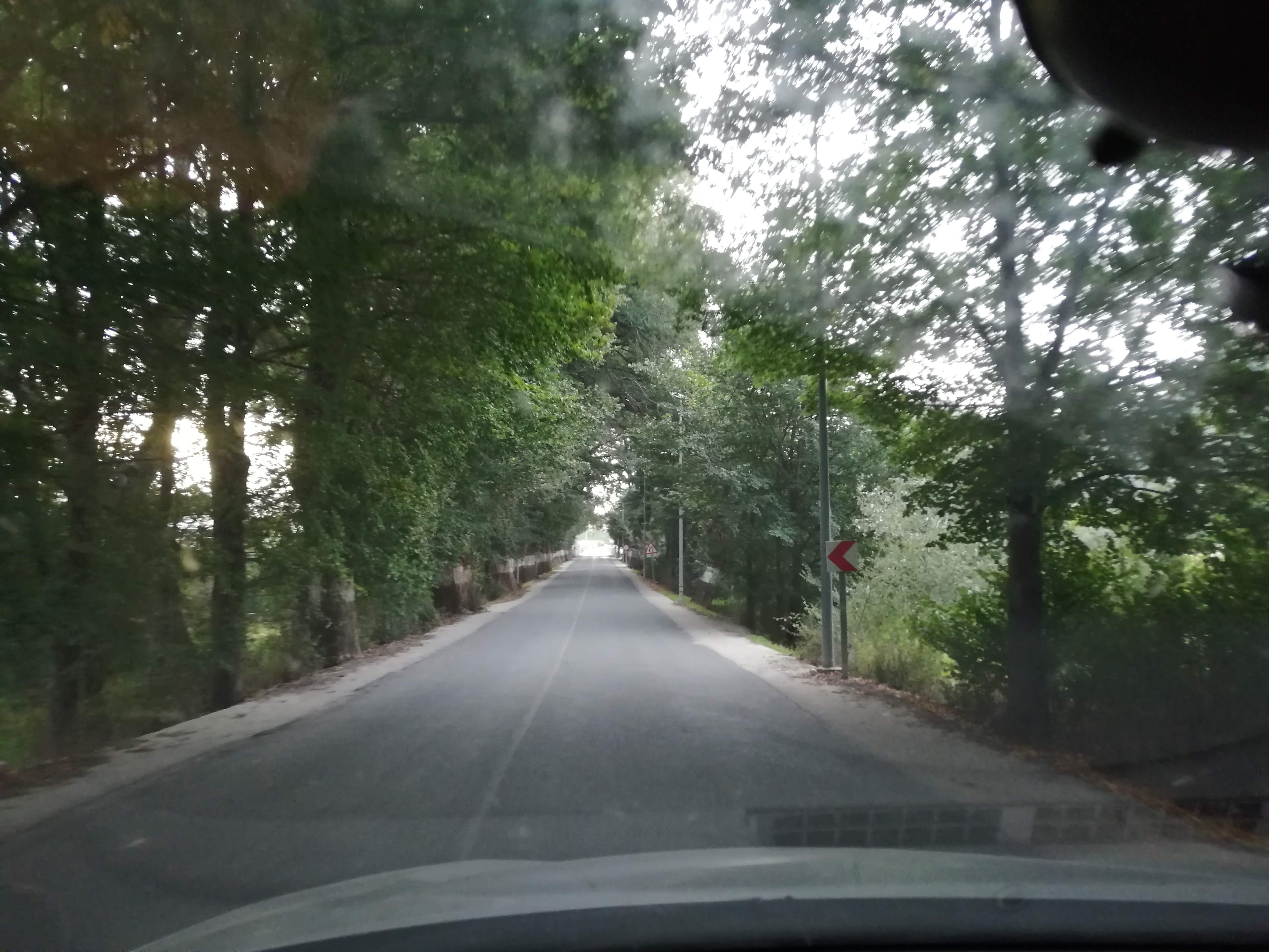 Vita y gravita_ De la importancia y el equilibrio entre tu actividad y tu descanso. @antonReina