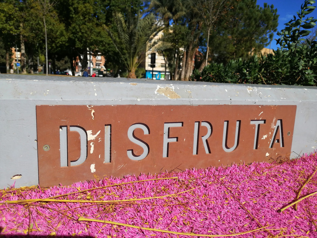 Reflexión de anton: Ante la duda, la premisa es disfrutar, haciendo o no)))